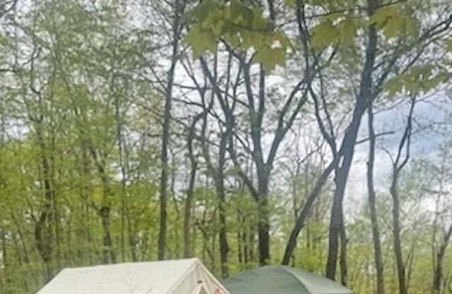 Tentrr Signature Site - Mountain Spring Retreat