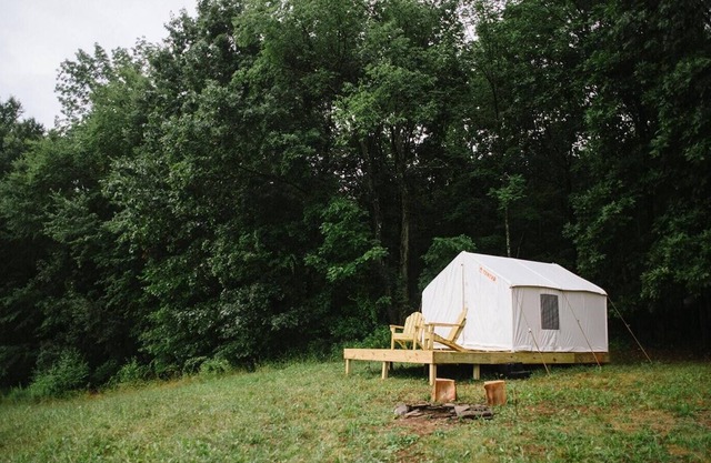 Tentrr Signature Site - Camp Coal Tree