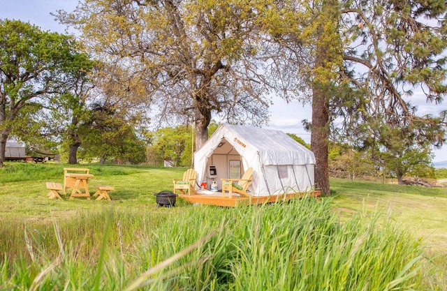 Tentrr Signature Site - Pines Place at Lane Creek Reserve