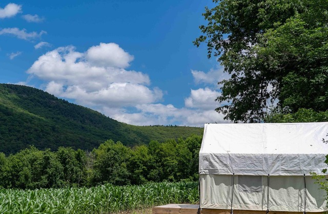 Tentrr State Park Site - NY Taconic State Park: High Valley Rd Site C