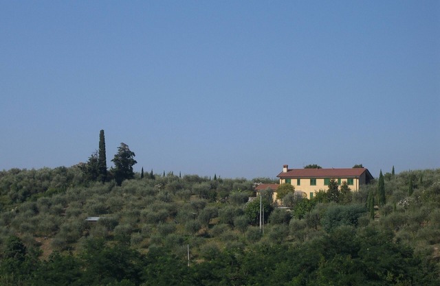 Tenuta Colsereno MAGNOLIA, Relax in hilly Villa looking to the sea 6 km far