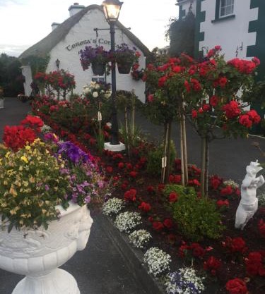 Teresas Cottage