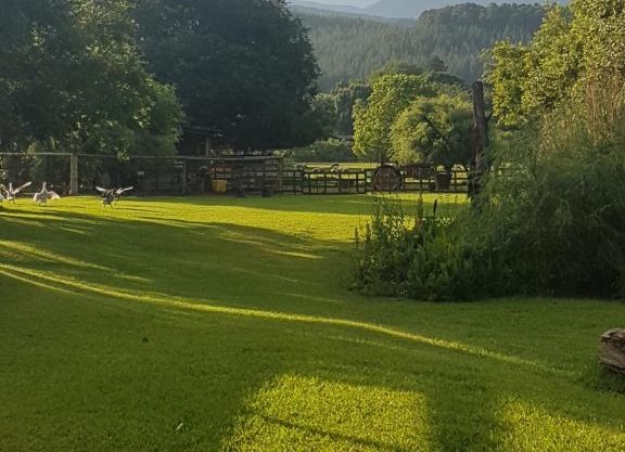 Thandamanzi Self Catering