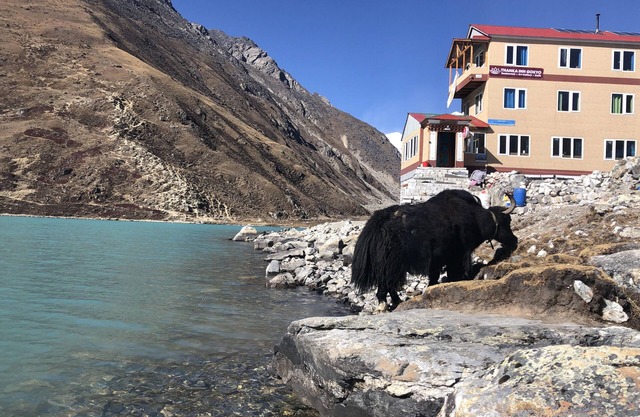 Thanka Inn Gokyo