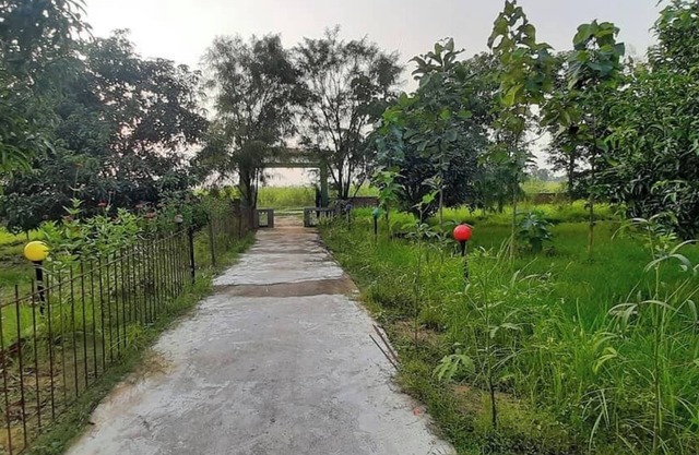 Tharu Mango Garden Resort