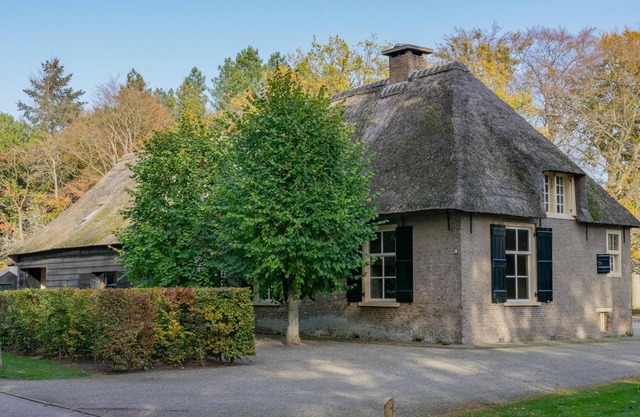 Thatched farmhouse in the forest