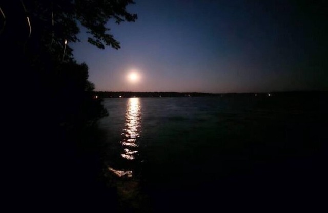 The Beahive Resort. Unit #4 Lakefront on lake Alex