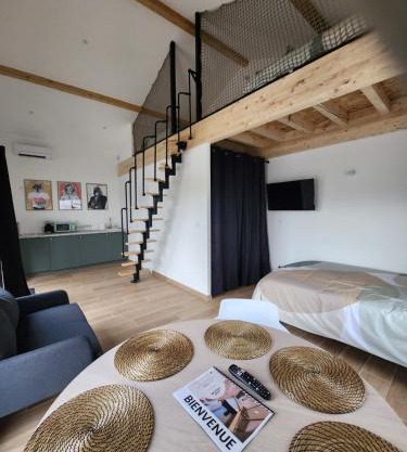 THE BEDROOM - proche aeroport Lyon, groupama stadium, ldlc arena, eurexpo, viaRhôna