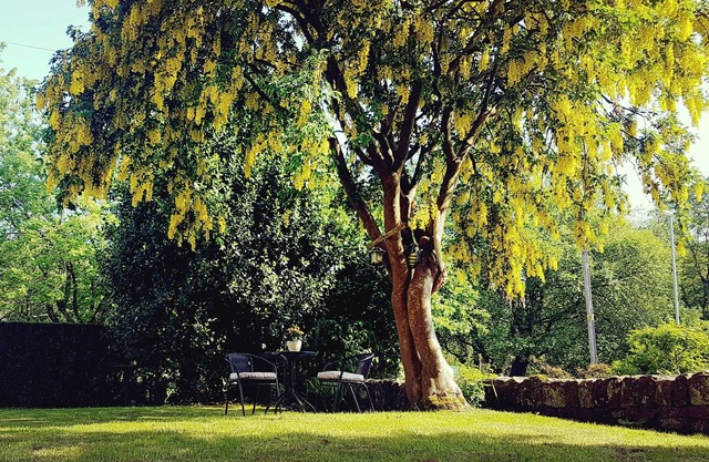 The Beehive Guest House