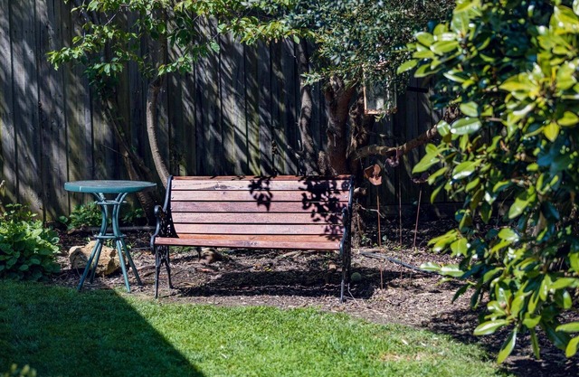 The birch bed and breakfast