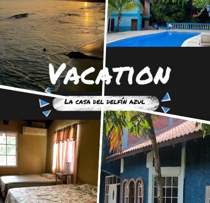 The Blue Dolphin casa