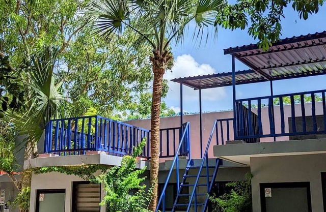 The Blue Eco Lodge- king room 1