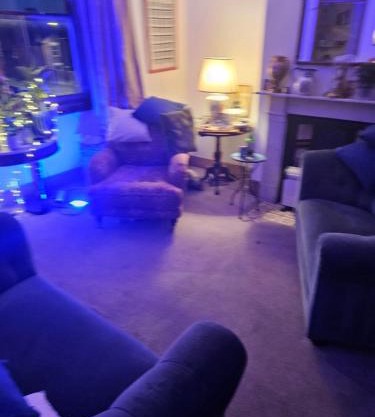 The blue international inn