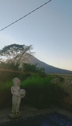 The Bunut Villas