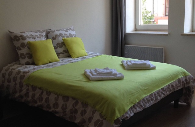 The chestnut - spacious studio in the city center