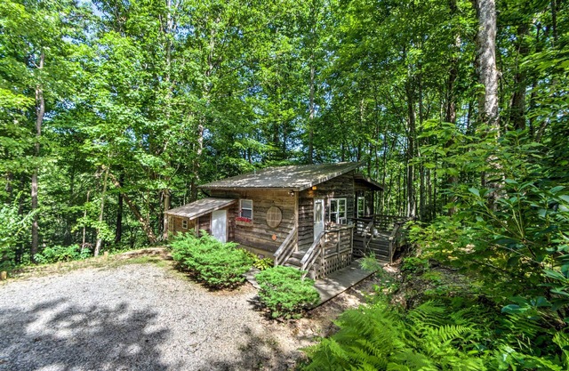 ‘The Coop’ Robbinsville Cabin w/Screened Porch!