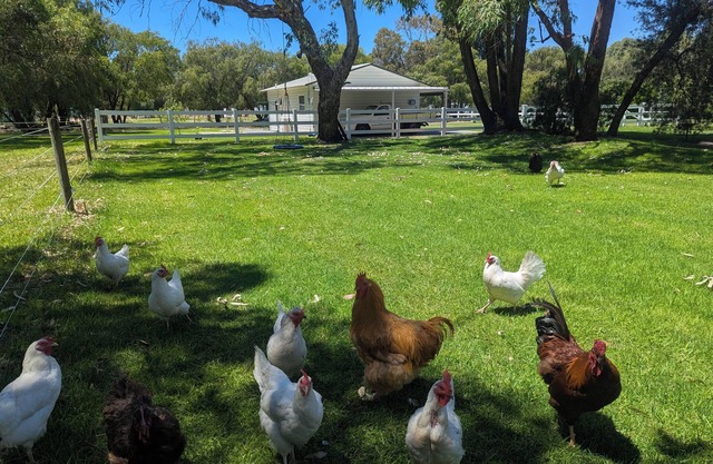 The Cottage at Gnangara Park