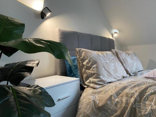 The Cottontail - Modern Private Room With Breakfast - Tamworth