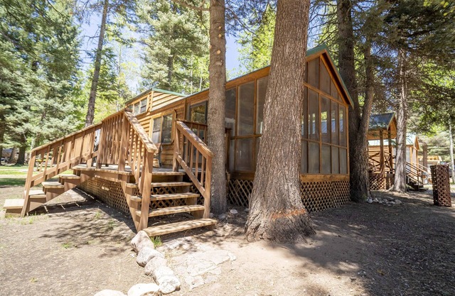The Cottonwood Cabin #17