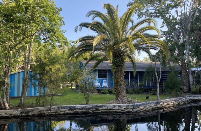 The Creek! in Old Homosassa across the street from the Freezer