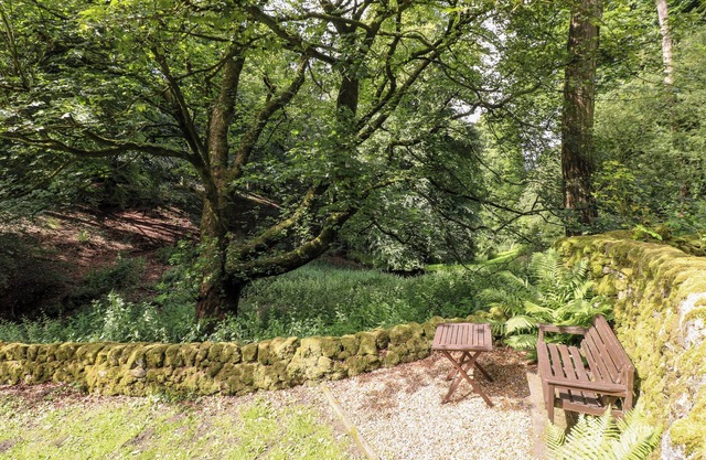 The Dell
