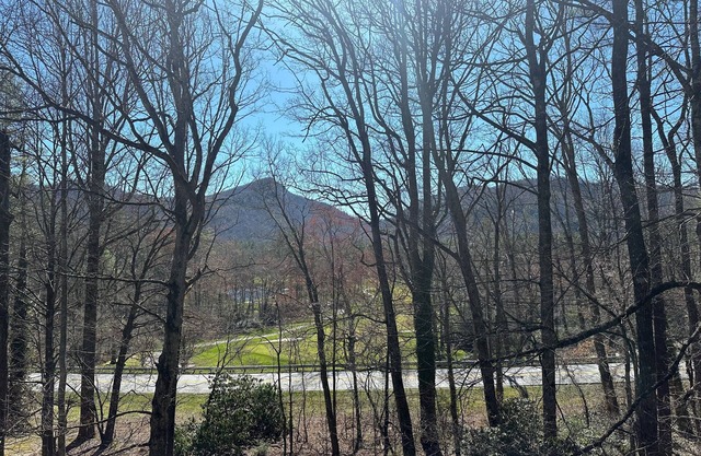 The Dogwood condo is located in the heart of Sapphire Valley with WiFi, AC