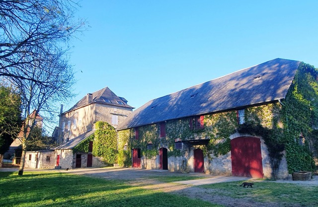 THE FAMILY HOME. Large 19th-century house 3 minutes from GOUFFRE DE PADIRAC (sleeps 10)