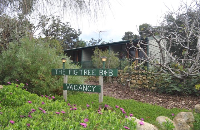 The Fig Tree B&B