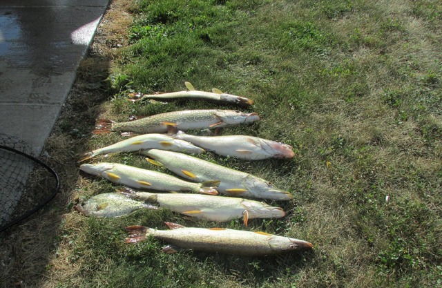 The Fish House-Available for short term rental. Located in the heart of the