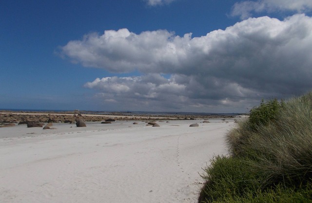 THE HOUSE OF THE BEACH