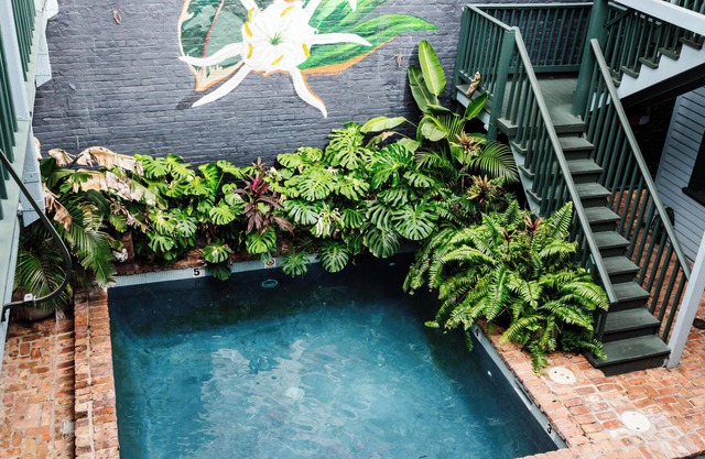 The Frenchmen New Orleans by Kasa Living