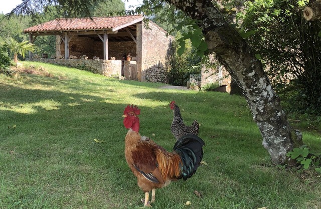 The Gîte de Lescarcelle near Château de Bonaguil