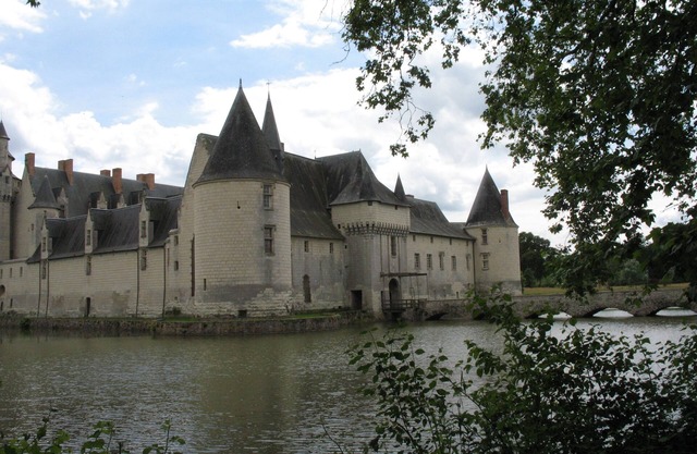 The "GITE ANJOUE" in the vineyards of the Loire Valley 4 people