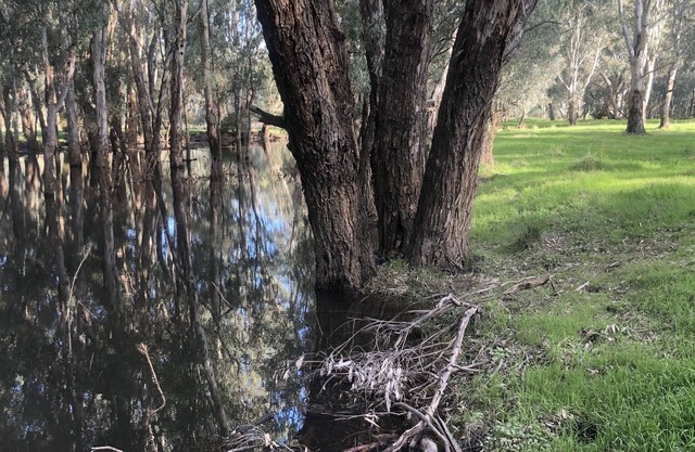 The Glenn on Ovens River
