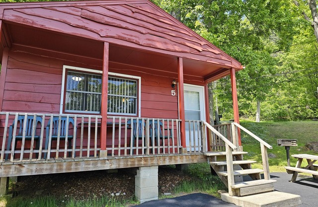 The Gold Eagle Cottage 5