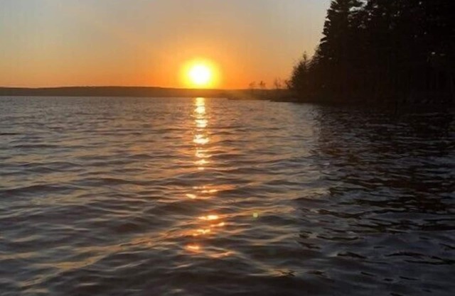 The Great Moose in Stunning Maine Swim, Fish & Kayak