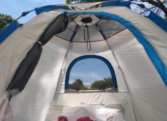 The Green Parrot Campsite & Lodge