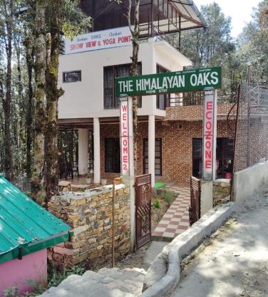 The Himalayan Oaks