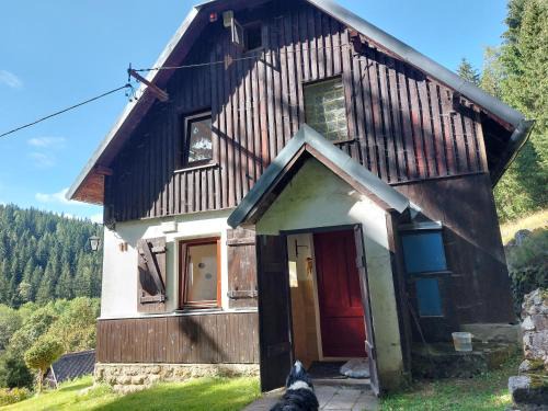 The House Next to the Forest - LAKMAT