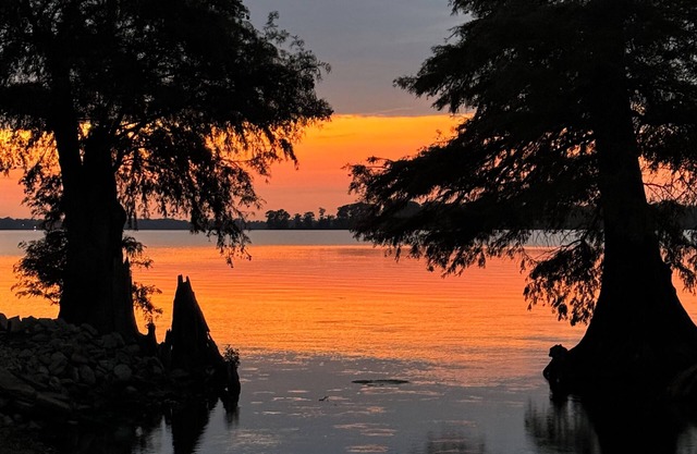 The Hut. Cozy 2-bedroom mobile home on peaceful Reelfoot Lake with boat shed