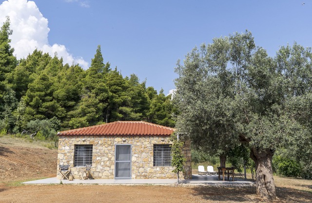 The Ideal Secluded Retreat