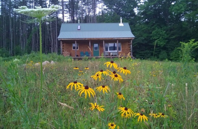 The Last Frontier Cabin