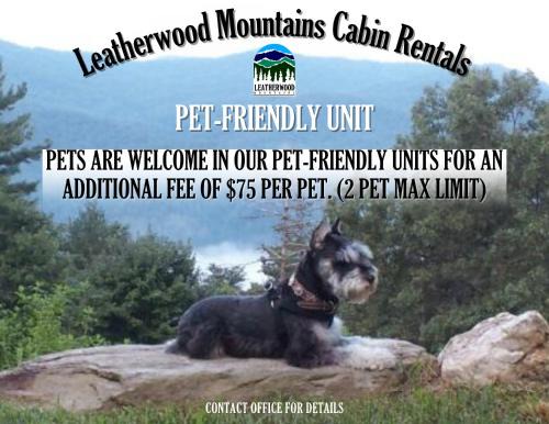 The Last Resort by Leatherwood Mountains Resort