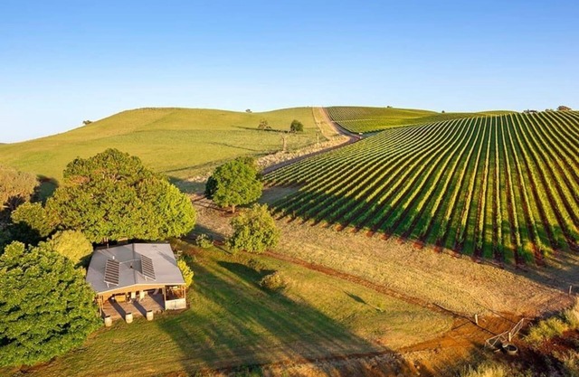 The Lodge by Mt Bellevue - Best views in the King Valley