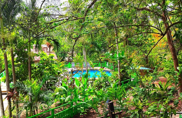 The Maya Mountain Lodge