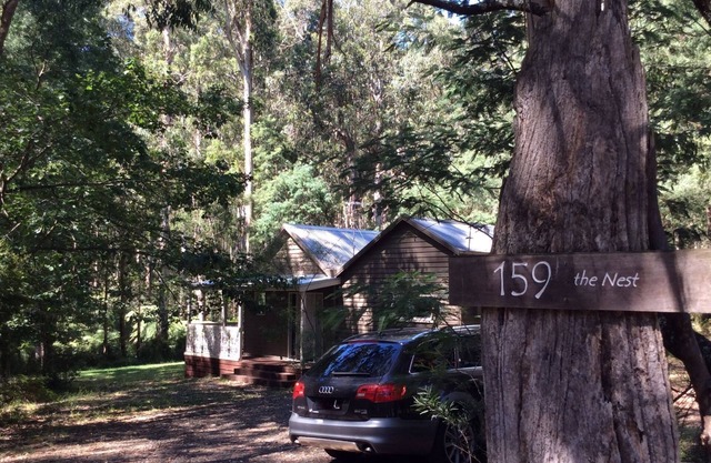 the Nest Healesville