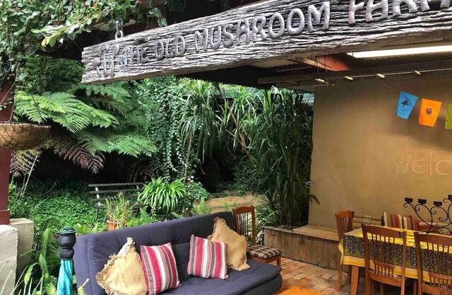 The Old Mushroom Farm