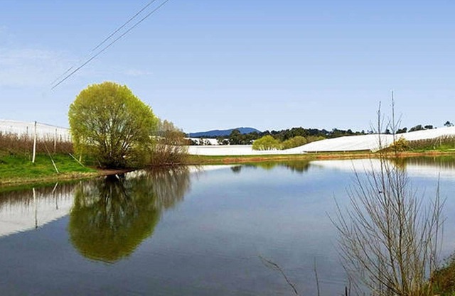 The Orchard House - A quiet country getaway.