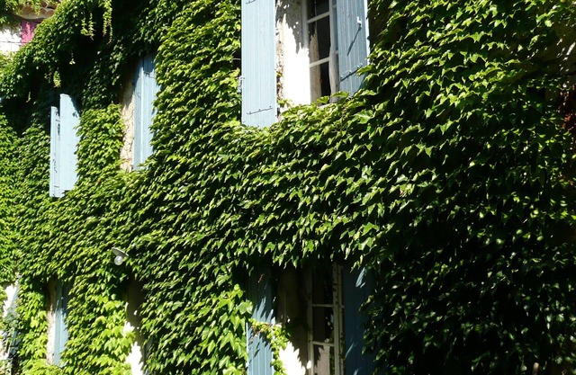 The other side of the washhouse in Saint Didier