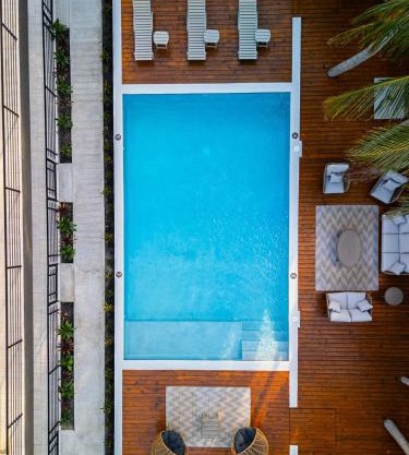 The Palms